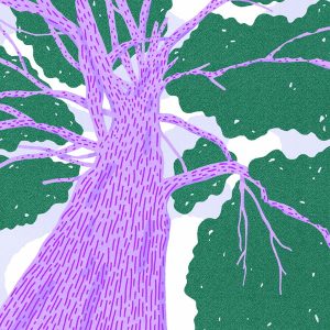 Rooted - Art print - Image 3